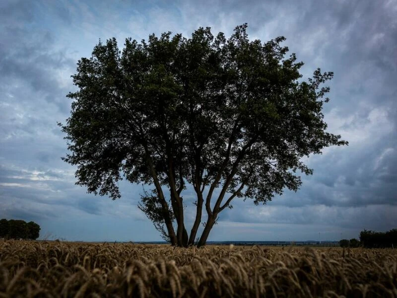 Wetter in Niedersachsen