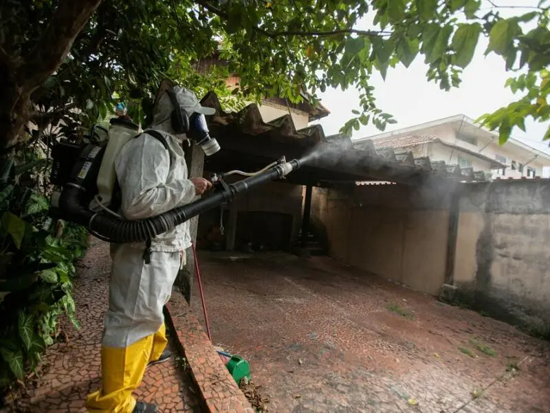 Dengue-Fieber in Brasilien