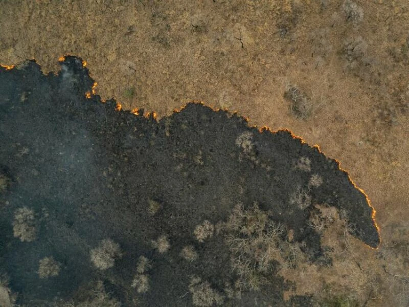 Indigene Feuerwehrleute kämpfen in Brasilien um ihr Territorium