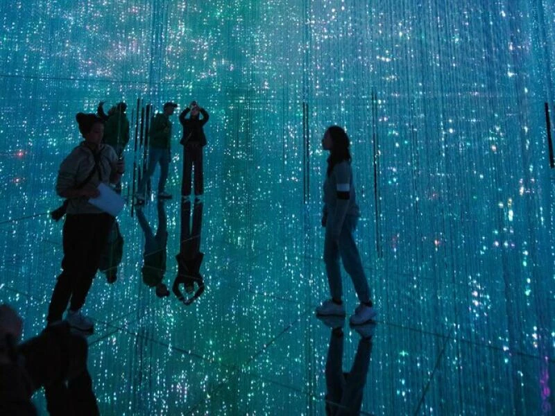 Installation im teamLab Borderless Tokyo