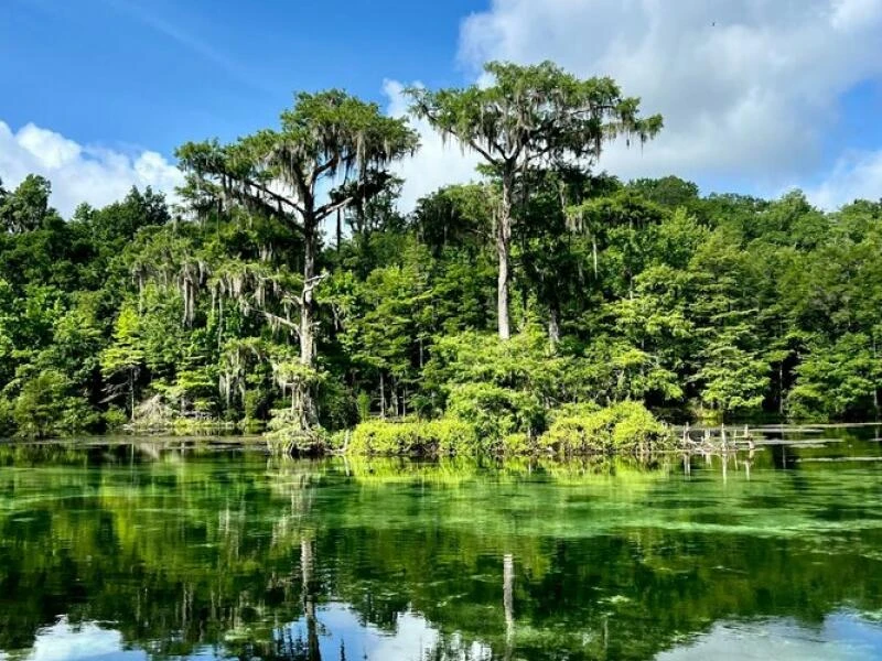 Den Pfannenstiel entlang: Roadtrip in Floridas Geschichte