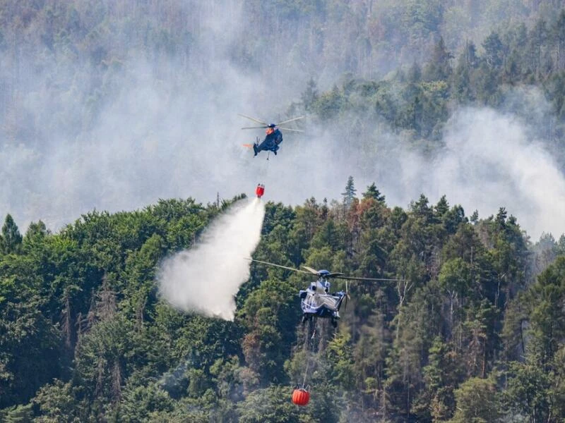 Waldbrand im Nationalpark Sächsische Schweiz