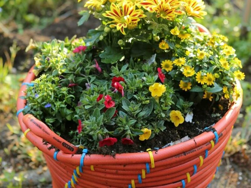 Ein DIY-Blumenkorb aus Gartenschlauch