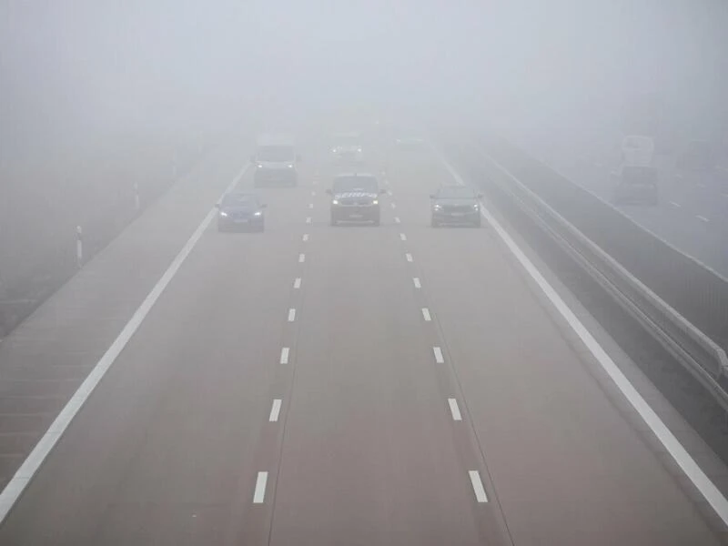 Nebel im Straßenverkehr