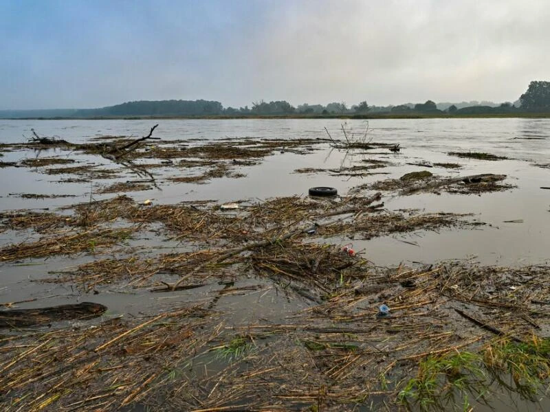 Hochwasser in Brandenburg