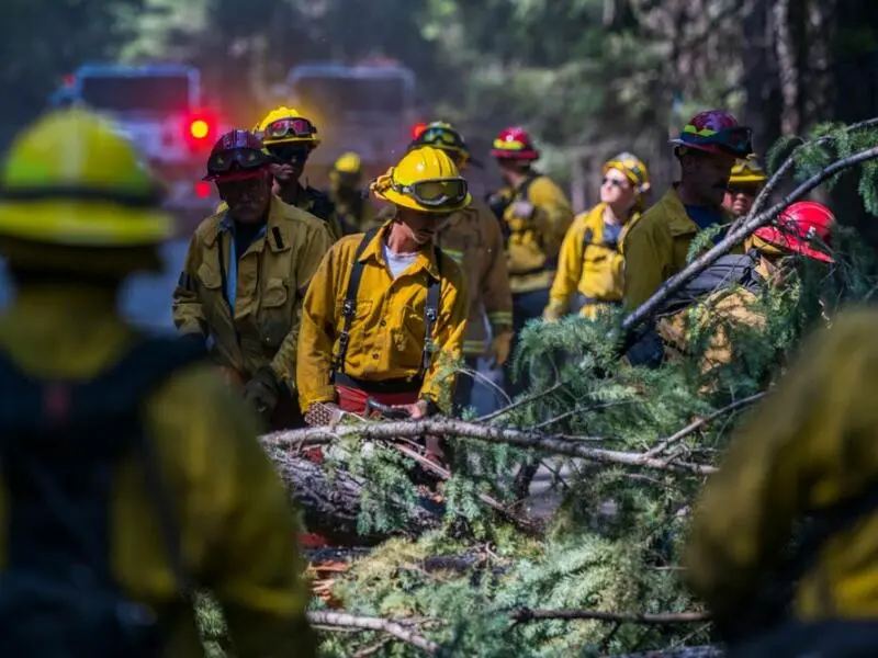 Waldbrände in den USA - Kalifornien