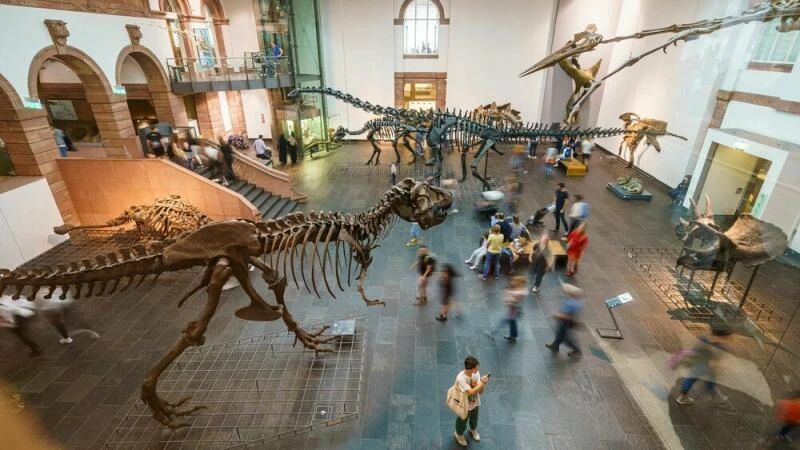 Senckenberg Naturmuseum in Frankfurt/Main