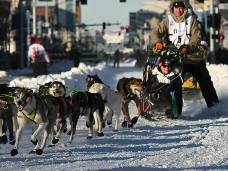 Iditarod-Hundeschlittenrennen