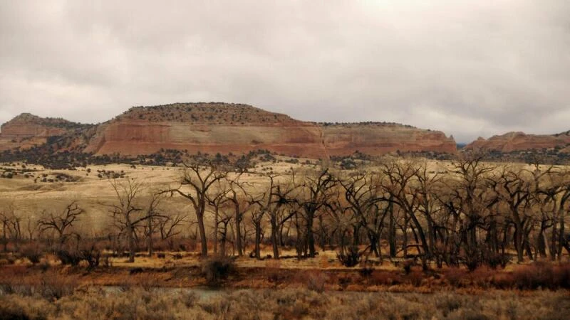 Landschaft in Utah