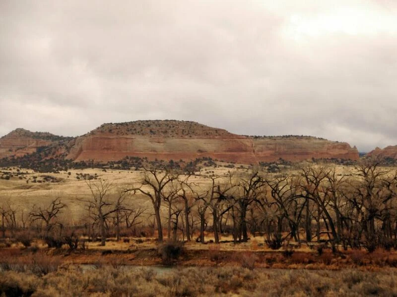 Landschaft in Utah