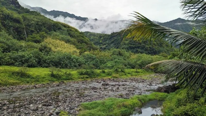 Südsee ungeschminkt: Auf der Suche nach dem echten Tahiti