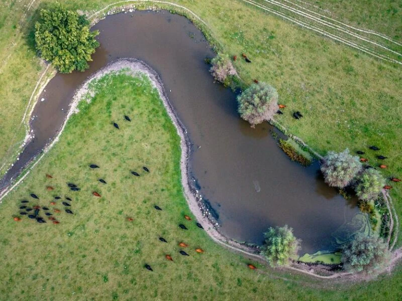 17. Bio-Landpartie in Mecklenburg-Vorpommern