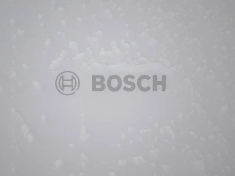 Bosch