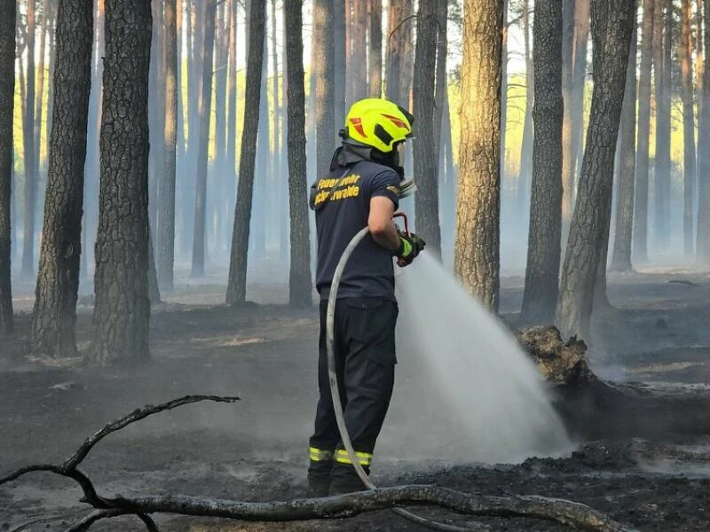 Waldbrand bei Ruhlsdorf