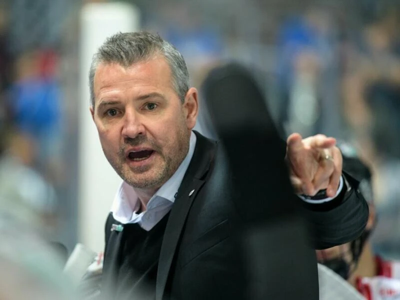 Eisbären-Trainer Serge Aubin