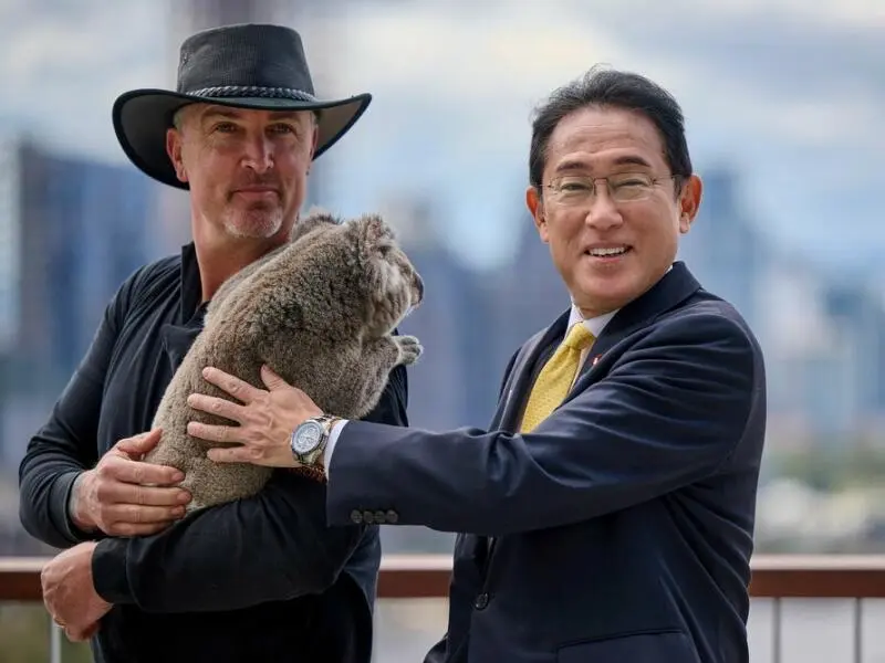 Japans Premierminister Kishida im Koala-Schutzzentrum