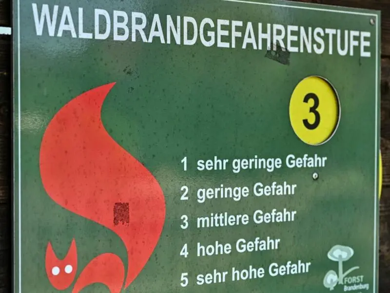 Waldbrandlage in Brandenburg - Gefahr nimmt zu