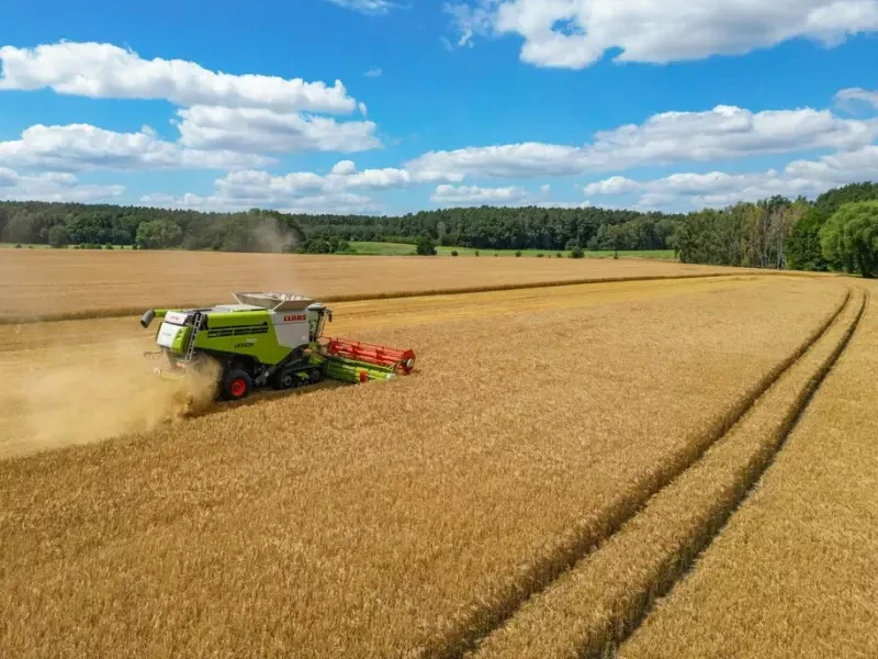 Landwirtschaft