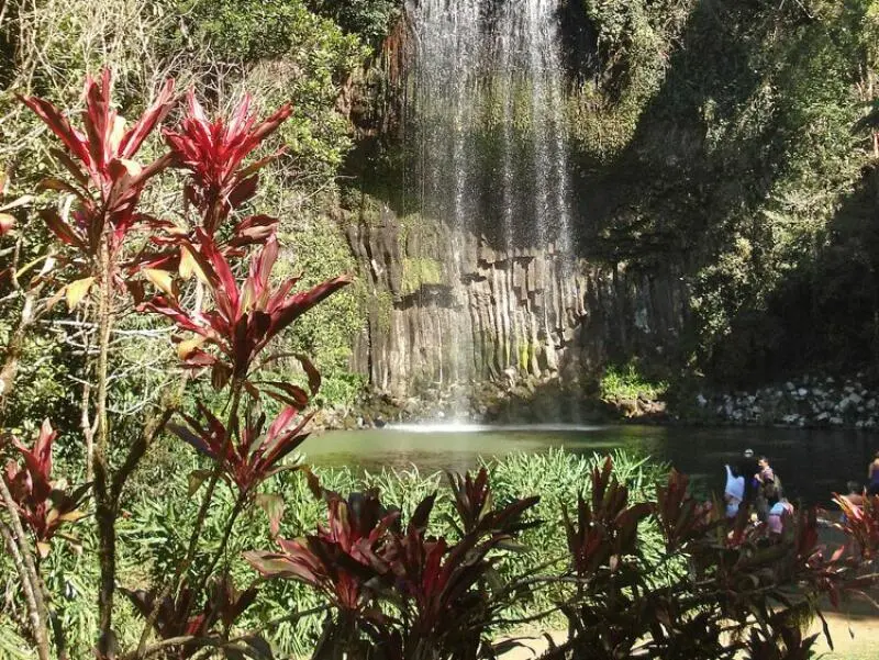 Millaa Millaa Falls