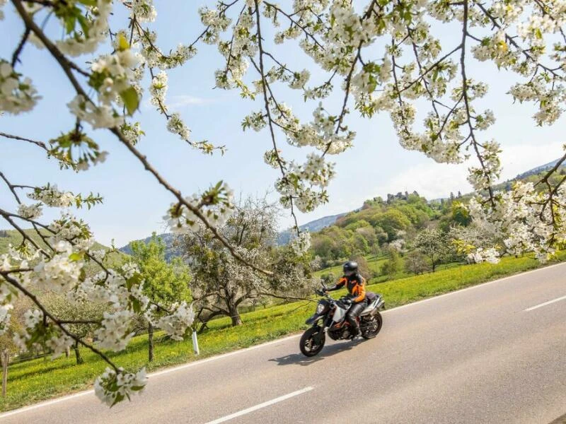 Ein Motorradfahrer fährt auf einer Landstrasse