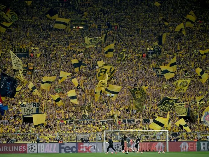 Dortmund-Fans