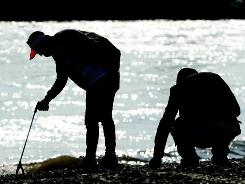 Freiwillige säubern Uferstreifen bei Aktion «RhineCleanUp»