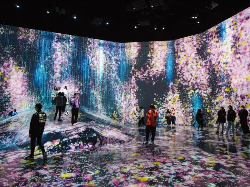 Installation im teamLab Borderless Tokyo