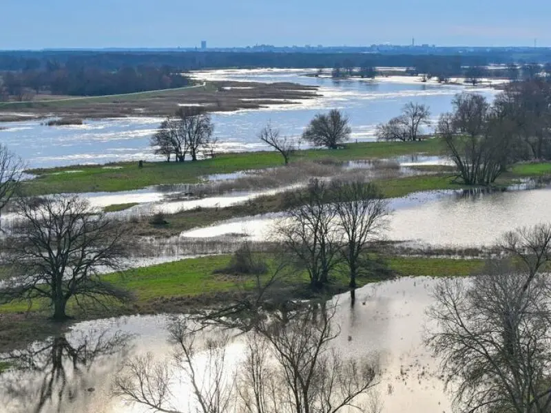 Hochwasser in Brandenburg - Oder