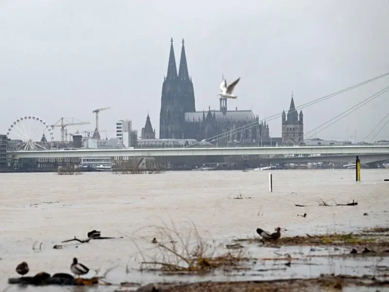 Hochwasser in Nordrhein-Westfalen - Köln
