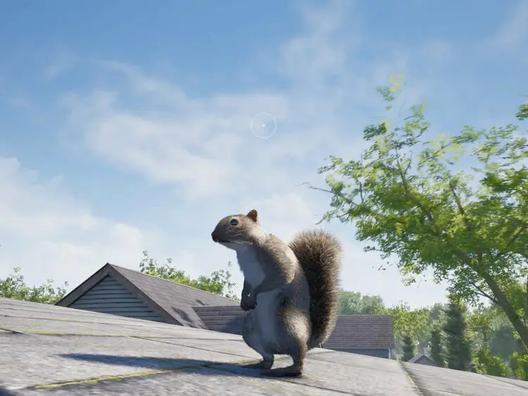 Squirrel with a Gun: Dieses verrückte Spiel geht gerade viral