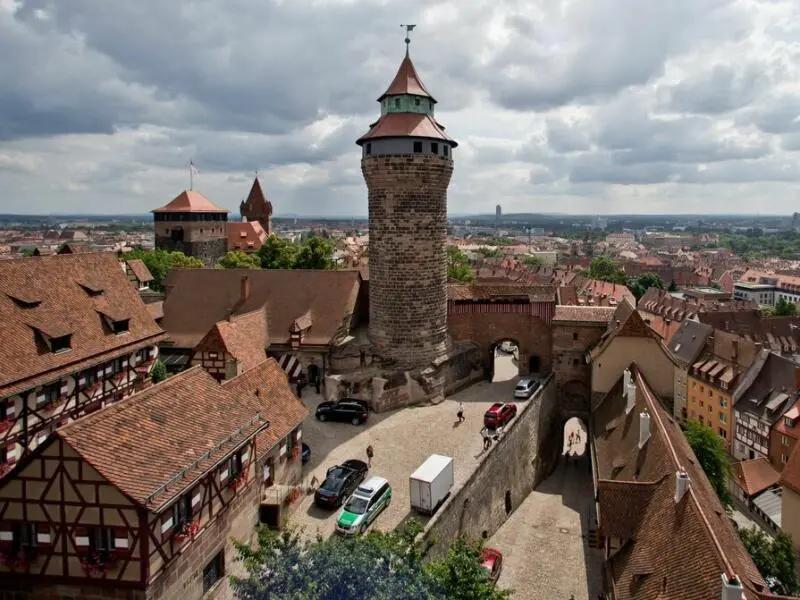 Wanderfalke brütet wieder auf Nürnberger Kaiserburg