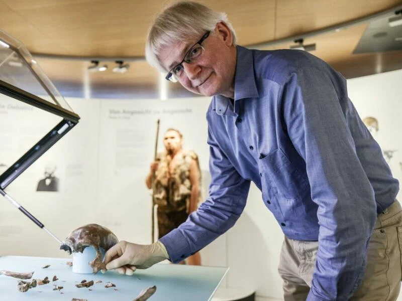 Neandertaler im LVR-LandesMuseum Bonn