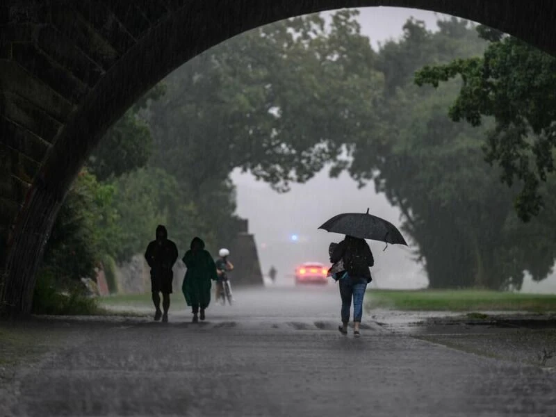 Regen in Dresden