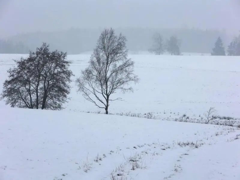 Wintereinbruch im Harz
