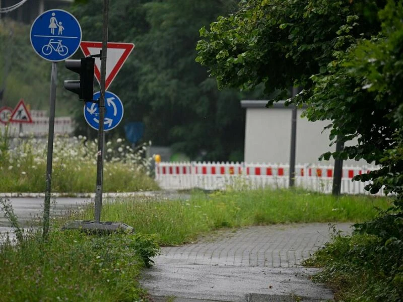 Zugewachsener Radweg