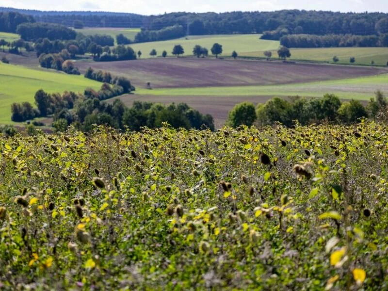 Spätsommer in NRW