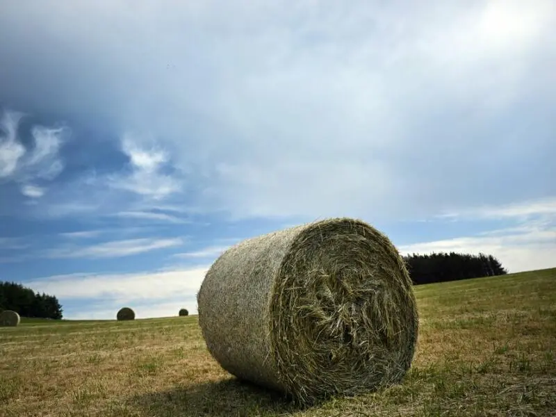 Unbeständiges Wetter in NRW