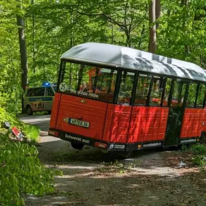 Wernigeröder Schlossbahn prallt gegen Baum - zehn Verletzte