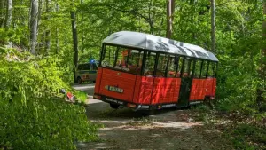 Wernigeröder Schlossbahn prallt gegen Baum - zehn Verletzte