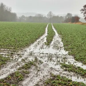 Überflutete Felder erschweren die Arbeit der Bauern