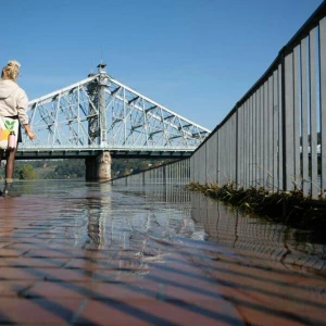 Elbe-Hochwasser - Dresden