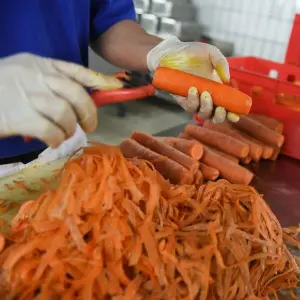 Ein Häftling schält Karotten in der Küche eines Gefängnisses