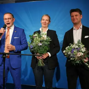 AfD Wahlparty