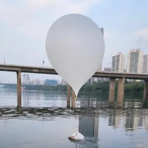 Nordkorea schickt vermutlich erneut Müll-Ballons Richtung Süden