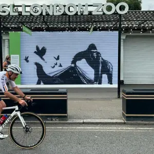 Banksy-Kunstwerk vor Londoner Zoo durch Replik ersetzt