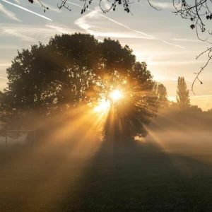 Herbststimmung bei Sonnenaufgang