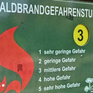 Waldbrandlage in Brandenburg - Gefahr nimmt zu
