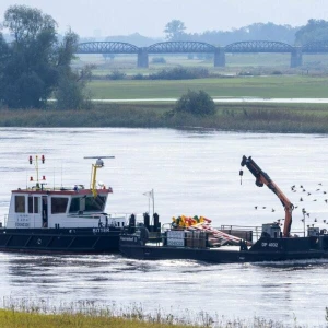 Erhöhte Pegelstände an der Elbe