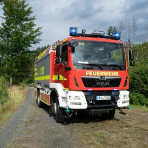 Waldbrand am Pfaffenstein