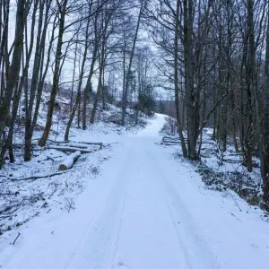Winterwetter Hessen
